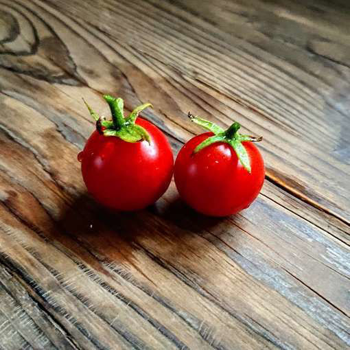 Vikens Cherry Tomato