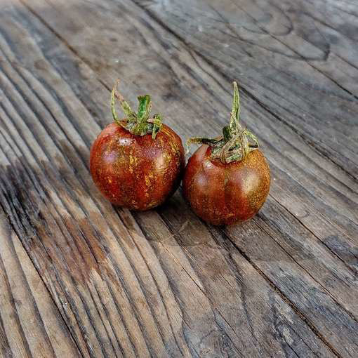 Zebrino Cherry Tomato