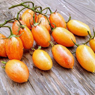 Artisan Blush Tiger Cherry Tomato Artisan Blush Tiger Cherry Tomato