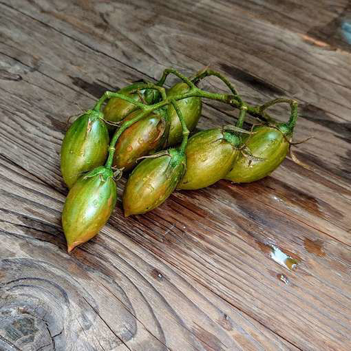 Artisan Lucky Tiger Cherry Tomato