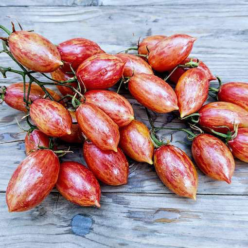 Artisan Pink Tiger Cherry Tomato