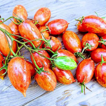 Artisan Red Tiger Cherry Tomato Artisan Red Tiger Cherry Tomato