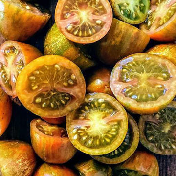 Atomic Grape Cherry Tomato Atomic Grape Cherry Tomato