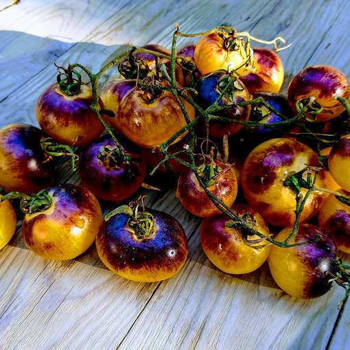 Belle Coeur Cherry Tomato