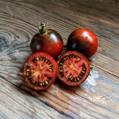 Blue Chocolate Cherry Tomato