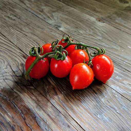 Brin de Muguet Cherry Tomato