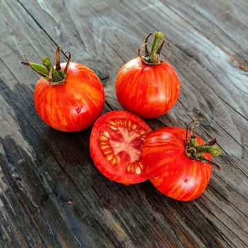 Csikos Botermo Cherry Tomato Csikos Botermo Cherry Tomato
