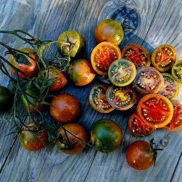 Evil Olive Cherry Tomato Evil Olive Cherry Tomato