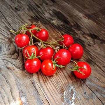 Finske Erik Cherry Tomato Finske Erik Cherry Tomato