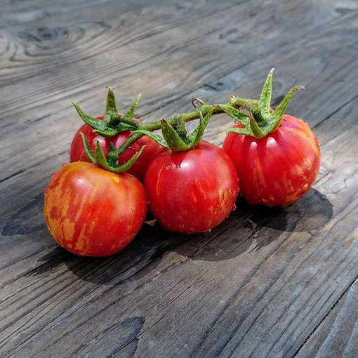 Flower Ball Cherry Tomato