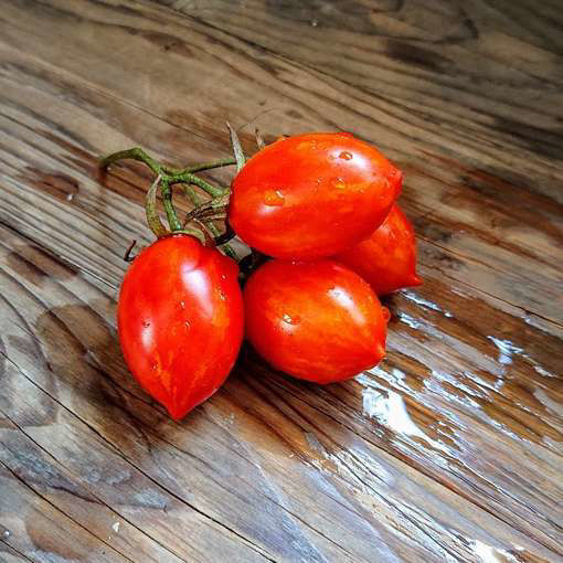 Matt's Hornet Cherry Tomato