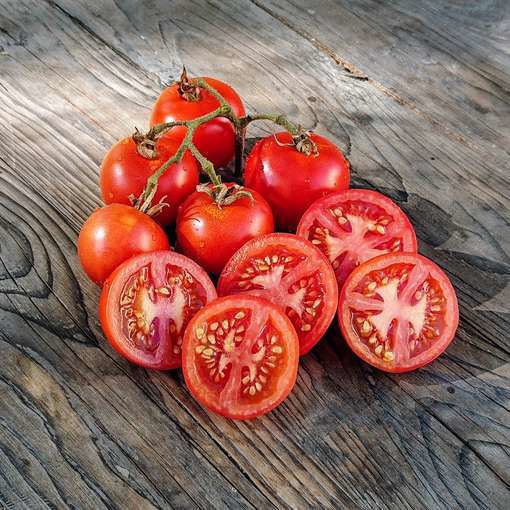 Tondino Maremmano Cherry Tomato