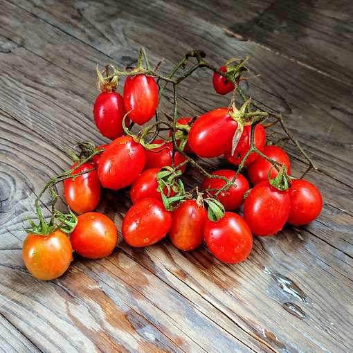 Auntie Madge's Plum Tomato