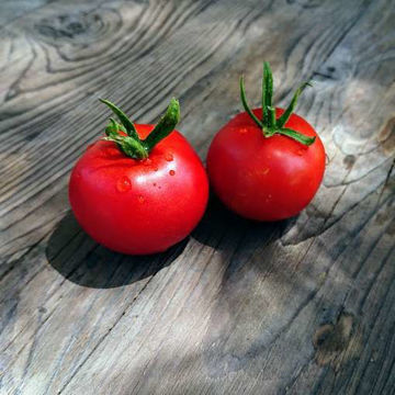 Florida Petite Tomato-Meraki Seeds
