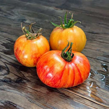 Beauty Princess Tomato Beauty Princess Tomato