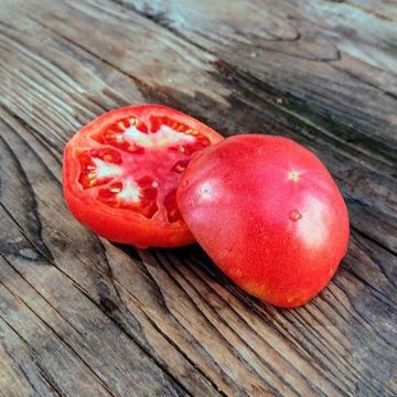 Berner Rose Tomato Berner Rose Tomato