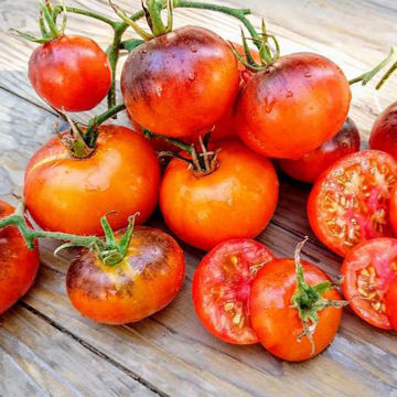 Blue Clementine Tomato Blue Clementine Tomato