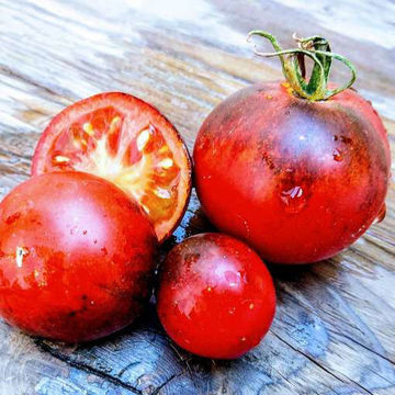 Blue Streak Tomato Blue Streak Tomato