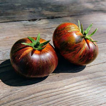 Blue Zebra Tomato Blue Zebra Tomato
