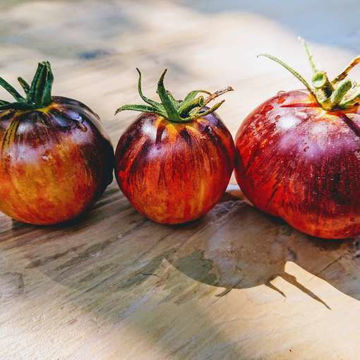 Damascus Steel Tomato Damascus Steel Tomato