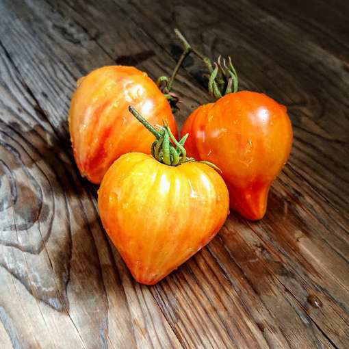 Desdemonas Heart Tomato