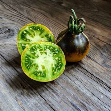 Flanders Contrast Tomato Flanders Contrast Tomato