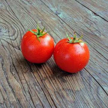 Blue Bayou Tomato-Meraki Seeds