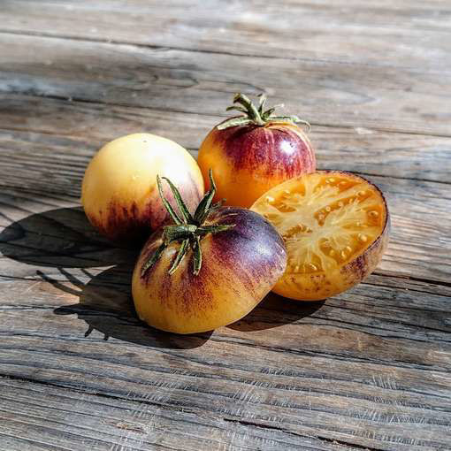 Great White Purple Tomato