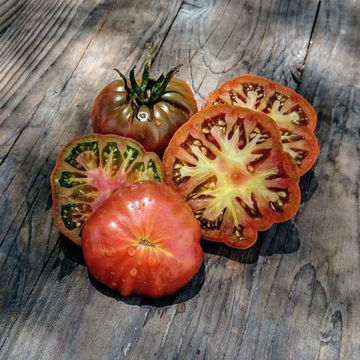 Blue Fire Tomato-Meraki Seeds