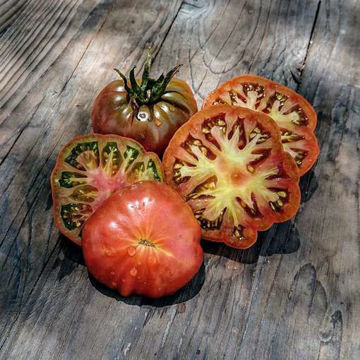 Desperado Tomato-Meraki Seeds