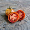 Kozula 24 Tomato