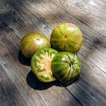 Kozula 25 Tomato Kozula 25 Tomato