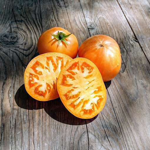 Kozula 89 Tomato