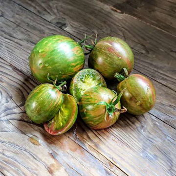 Kozula 132 Tomato Kozula 132 Tomato