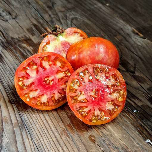 Kozula 156 Tomato