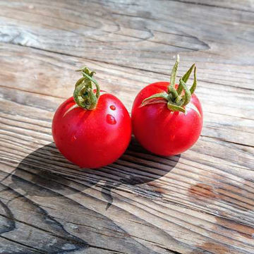 Matina Tomato Matina Tomato