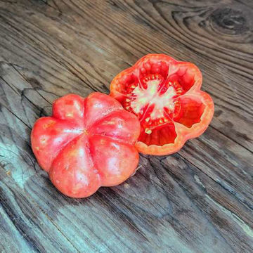 Montserrat Tomato Montserrat Tomato