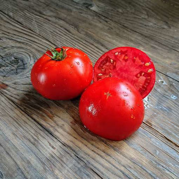 Nepal Tomato Nepal Tomato