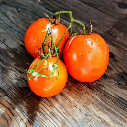 Orange Crimea Tomato