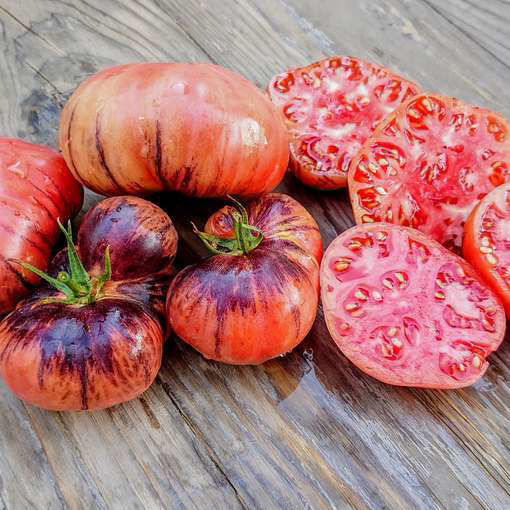 Ozark Sunrise Tomato-Meraki Seeds