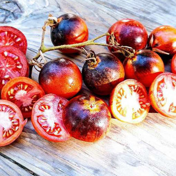 Ozark Sunset Tomato Ozark Sunset Tomato