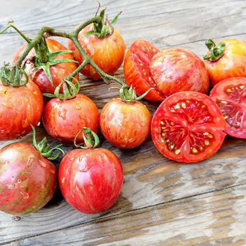 Pink Boar Tomato Pink Boar Tomato