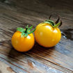 Poma Amoris Minora Lutea Tomato
