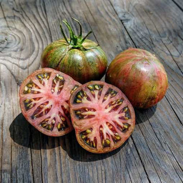 Rebel Starfighter Prime Tomato Rebel Starfighter Prime Tomato