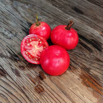 Sioux Tomato Sioux Tomato