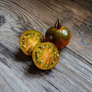 Thorburn's Terra-Cotta Tomato Thorburn's Terra-Cotta Tomato