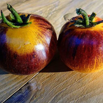 Ussuri Tiger Tomato Ussuri Tiger Tomato