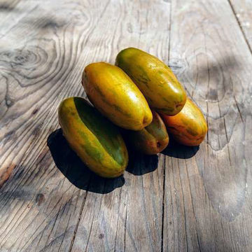 Lange Ærmer Tomato Lange Ærmer Tomato