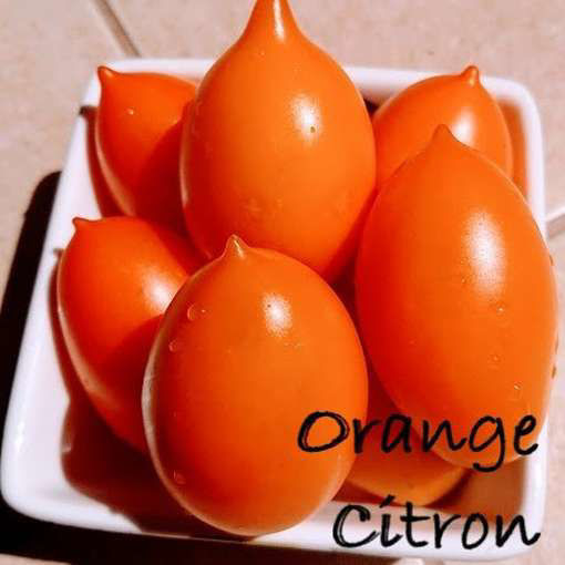 Orange Citron Tomato