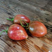 Purple Russian Plum Tomato